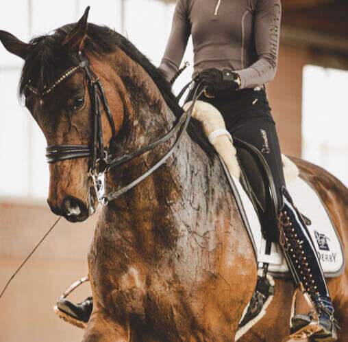 seo vitamine reiten pferd